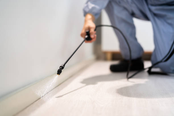 Licensed Mosquito Control service in Plainfield, IL - Show Me Pest Control