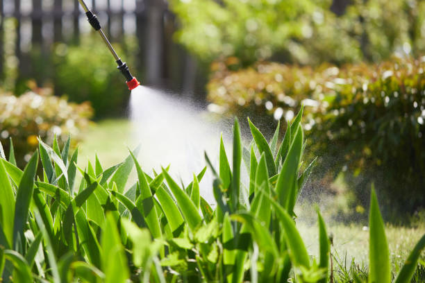 24/7 Emergency Mosquito Control experts in Plainfield, IL
