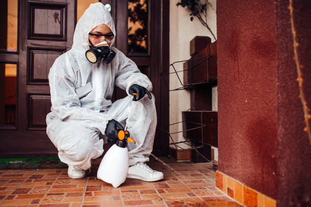 Reliable Mosquito Control contractor in Plainfield, IL by Show Me Pest Control